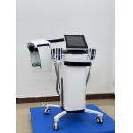 Laser Lipolysis And Cryolipolysis Slimming Machine For Non Invasive Body Contouring for sale