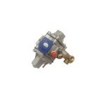 Die Cast Aluminium Body CNG Pressure Regulator Blue For Car Autogas Conversion Kit for sale