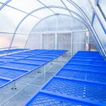 China Polytunnel Agricultural Greenhouse Drying Greenhouse For Vegetables Fruit and Fish for sale