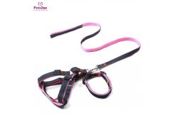China Dog Leash Puppy Collar And Leash Set 30m Retractable Dog Lead supplier