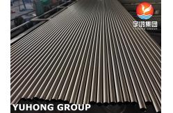 China ASTM A269 / ASME SA269 TP316L Polished 320 Grit Mirror Surface BA Tube supplier