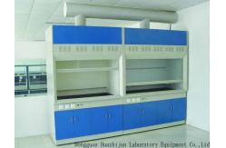 China Rustproof Ducted Laboratory Fume Hood Cupboard Durable All Steel Material supplier