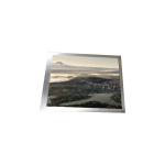 LSC400FN05 40.0 inch LCD panel for XC-977 LED TV Screen for sale