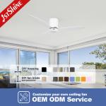 52 Plastic Ceiling Fan With Timer White Modern Low Profile Led Ceiling Fan