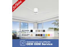 China 52 Plastic Ceiling Fan With Timer White Modern Low Profile Led Ceiling Fan supplier