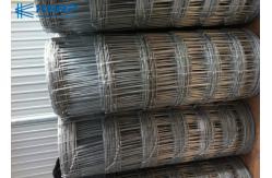 China Cattle Fence Woven Metal Screen Hot Dipped Galvanized Hinge Joint Knot supplier