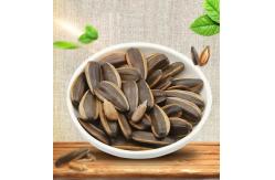 China Inner Mongolia Salty and Roasted 361 sunflower seeds for Europe Wholesale supplier