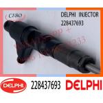 228437693 Delphi Genuine Diesel Engine Fuel Common Rail Injector