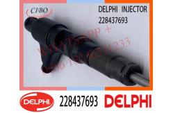 China 228437693 Delphi Genuine Diesel Engine Fuel Common Rail Injector supplier