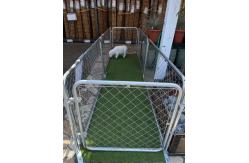 China 10' Large Animal Dog Cage Kennel Hot Dipped Galvanized Chain Link Kennel supplier
