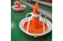 China Automatic 75-100cm Poultry Pan Feeding System For Ducks Drinker supplier