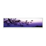 BOE 48 inch DV480FBM-N00 3840×720 stretched bar lcd panel module for sale