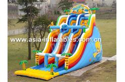 China Cool The Summer,Inflatable Water Slide For Water Park Games supplier