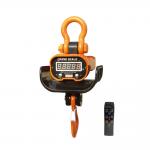 Heat Resistance Remote Control Digital Weighing Hook Scale , Hook Weight Machine for sale