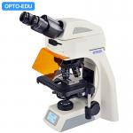 OPTO EDU A16.1062 Infinity Binocular Trinocular Led Fluorescent Microscope BG for sale