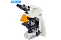 China OPTO EDU A16.1062 Infinity Binocular Trinocular Led Fluorescent Microscope BG supplier