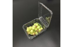 China PET Plastic Packaging Boxes Clamshell Plastic Containers Freshness Visible supplier