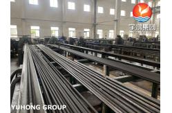 China Heat Exchanger Low Finned Tube A213 TP304 SIZE AS PER DRAWING supplier