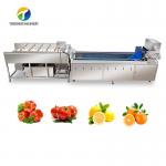 SS 380V Industrial Vegetable And Fruit Washing Machine for sale