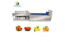 China SS 380V Industrial Vegetable And Fruit Washing Machine supplier