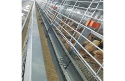 China 60-144 Broiler Poultry Equipment , ISO9001 Wire Bird Breeding Cages supplier