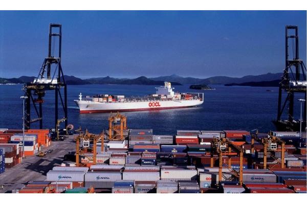 Amazon FBA Walmart Warehouse Freight Forwarder Shipping To USA Dropshipping Agent
