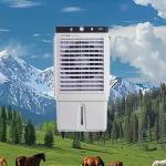 Industrial Grade High Durability Dahanfeng Mobile Water-Cooled Evaporative Cooling Fan for sale