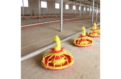 China Plastic Chicken Manual Poultry Feeders And Drinkers Oem supplier