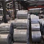 0.3mm Thick DX51D Galvanized Steel Coil Plate Coil White For Kitchenware for sale
