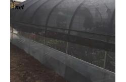 China Black Sun Shade Net HDPE Greenhouse Mesh Fabric UV Resistant supplier