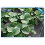 Soft Feeling Polypropylene Non Woven Fabric Landscape Crop Cover