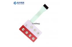 China Customized Backlight Membrane Switch OEM Service Pantone Color supplier