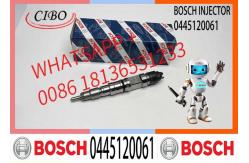 China Diesel fuel injector Common rail Injector 0445120061 Diesel engine parts 0445120061 supplier