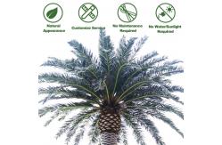 China Date Palm Garden Artificial Landscape Trees 2000cm Height UV Resistance supplier