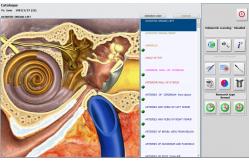 China 4025 Metatron NLS Machine Holistic Practitioners and Naturopathic Biofeedback Device supplier
