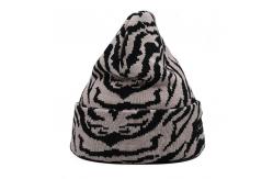China 20 Years Factory Knit Beanie Common Fabric Embroidery/Blank Pattern supplier