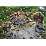 7x7 Knotted SS Wire Rope Zoo Mesh Animal Enclosure for sale