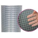 1/4-8 Aperture Electro Hot Dipped Galvanized Welded Iron Wire Mesh for sale