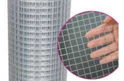 China 1/4-8 Aperture Electro Hot Dipped Galvanized Welded Iron Wire Mesh supplier