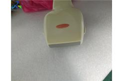 China SSA-660A PLT-704AT 38mm Ultrasound Transducer Probe supplier
