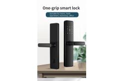 China S819 Smart Fingerprint Locks Zigbee Biometric Door Locks For Home supplier