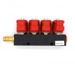 4 Cylinder Engine LPG CNG Injector Rail LVTK04 For Automobiles