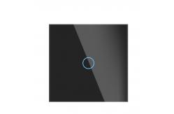 China 10A WiFi RF Smart 50hz Light Switch Remote Control For Alexa supplier