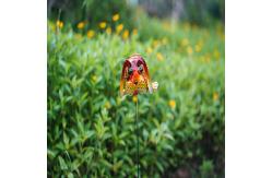 China Small Metal Solar Garden Animals Plug In Solar Powered Outdoor Lights Multiple supplier