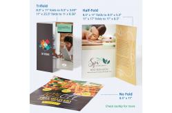 China 4 Colour Cmyk Officeworks Brochure Printing A4 Booklet Printing supplier