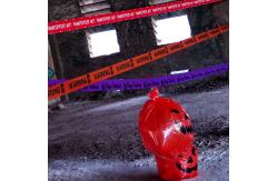 China ISO9001 Halloween Fright Tape 0.04mm Party LDPE Caution Banner supplier