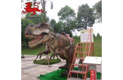 China Realistic Animatronic Tyrannosaurus Ride With Movement / Sound Customization supplier