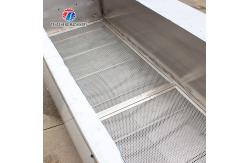 China Tengsheng Multifunctional Bubble Cleaning Machine Scum Removal Vegetable Fruit ginger supplier