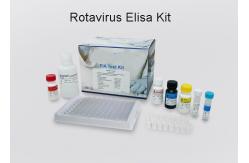 China Disposable Pipette Tips Rotavirus Test Kit  450nm Wavelength Reader 99% Sensitivity supplier