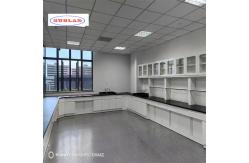 China Number of Rails As Drawing Chemistry Lab Bench in Blue Pp Design supplier